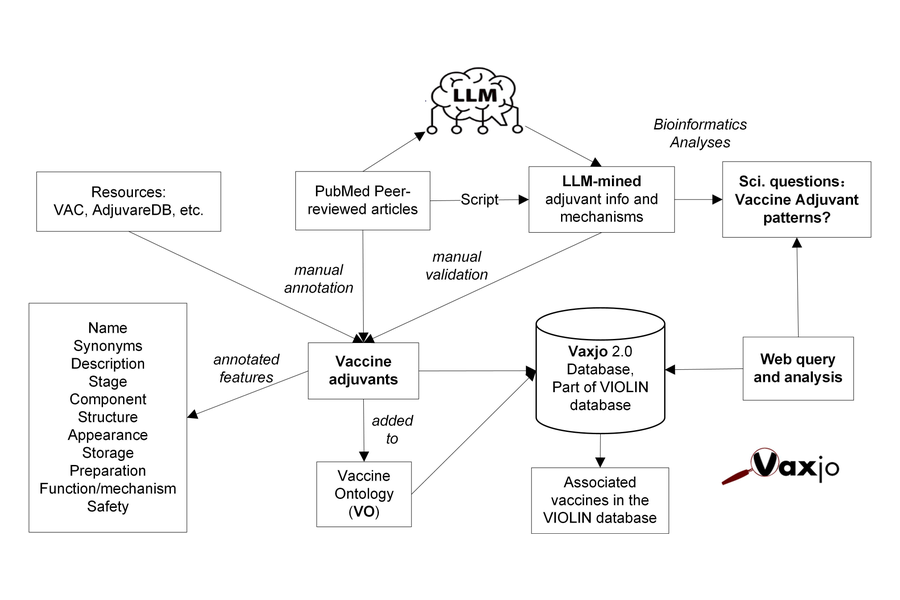 Overview of the Vaxjo 2.0 project workflow