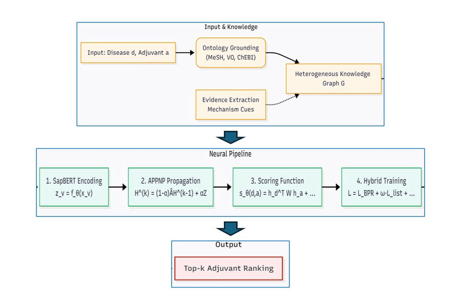 Overview of the VaxjoGNN disease-adjuvant ranking pipeline